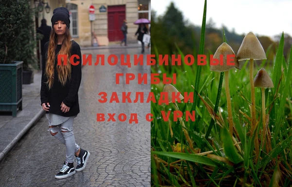 молекула духа Белоозёрский