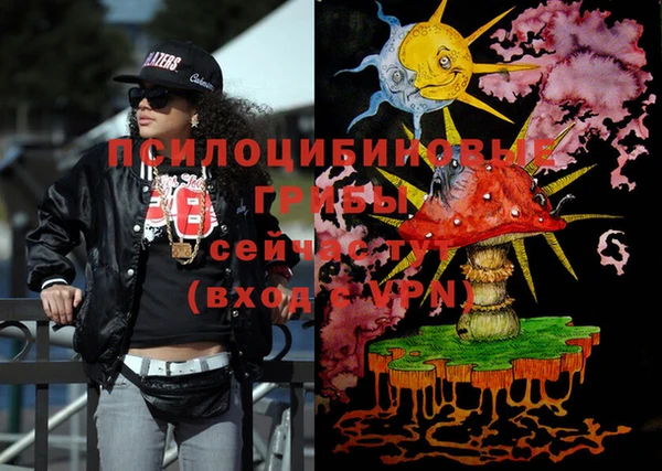 молекула духа Белоозёрский