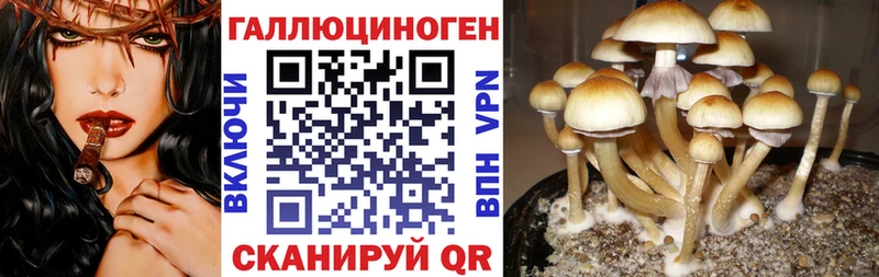 Купить Шарья Галлюциногенные грибы MAGIC MUSHROOMS